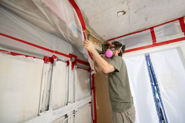 Best Air Quality Testing for Mold Spores  in Lumber City, GA