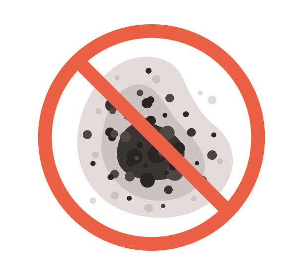Best Mold-Related Health Consultation  in Lumber City, GA