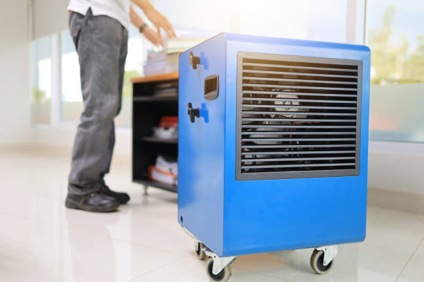 Professional Mold Removal in Lumber City, GA