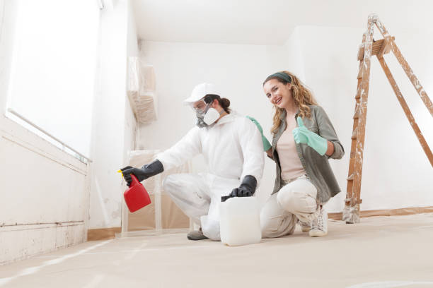 Best Environmental Consulting for Mold Prevention  in Lumber City, GA