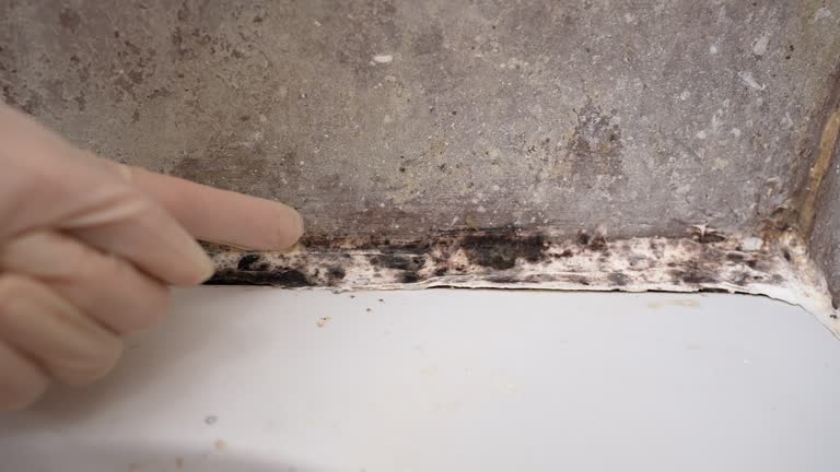 Best Residential Mold Inspection & Testing  in Lumber City, GA