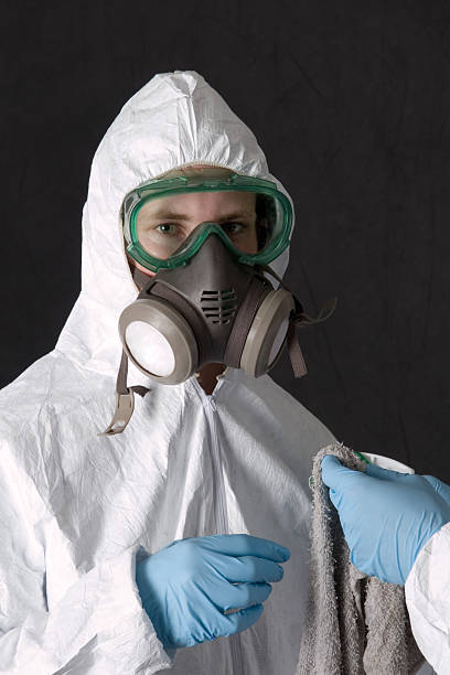 Best Black Mold Removal  in Lumber City, GA