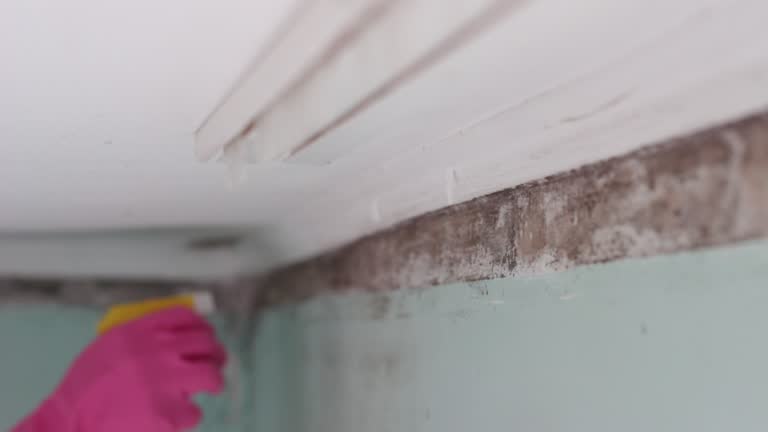 Best Dehumidification Services  in Lumber City, GA